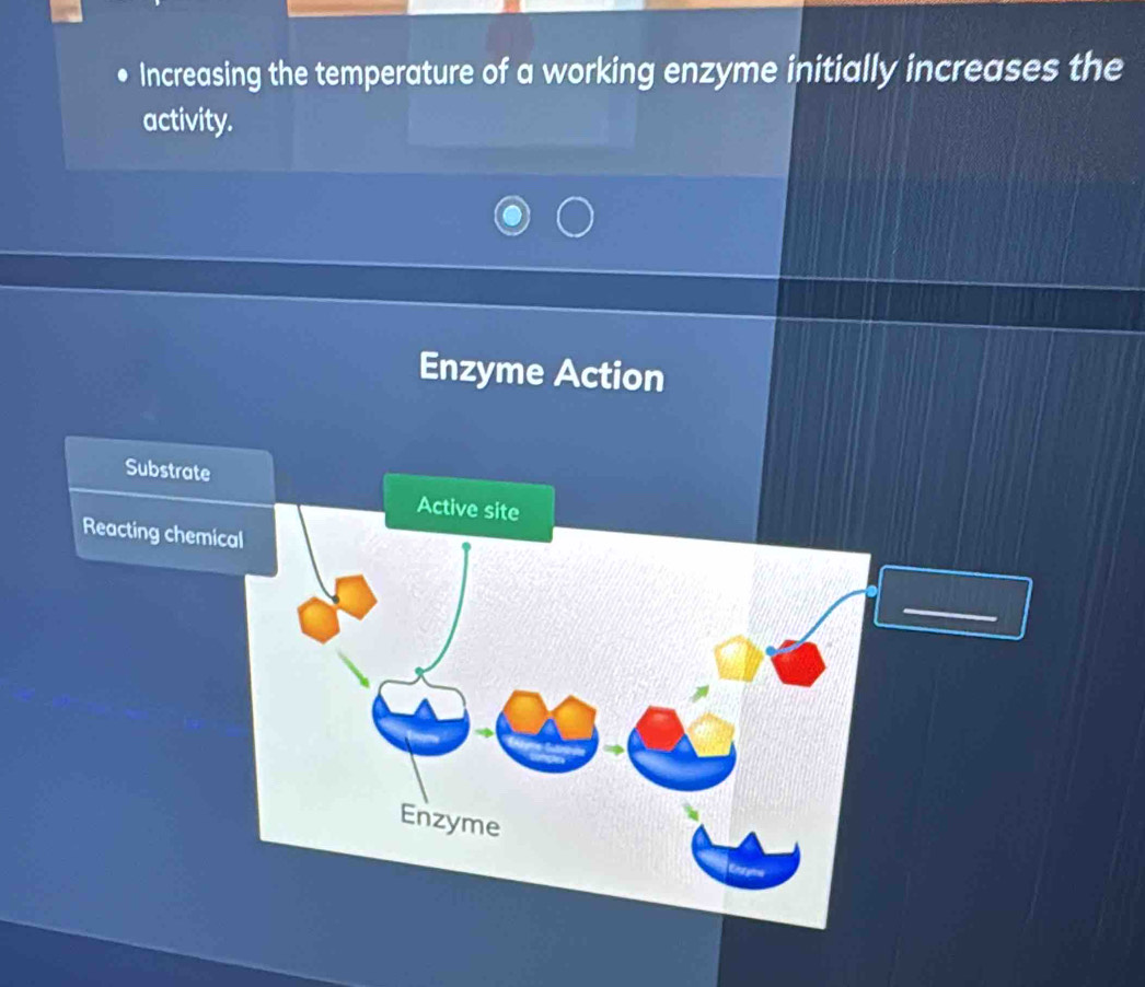 Increasing the temperature of a working enzyme initially increases the 
activity. 
Enzyme Action 
Substrate 
Active site 
Reacting chemical 
Enzyme