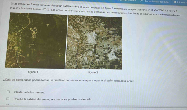 wr prueba Herramientas del lector Informac
Estas imágenes fueron tomadas desde un satélite sobre el oeste de Brasil. La figura 1 muestra un bosque brasileño en el año 2000. La figura 2
muestra la misma área en 2012. Las áreas de color claro son tierras desnudas con pocos árboles. Las áreas de color oscuro son bosques densos.
¿Cuál de estos pasos podría tomar un científico conservacionista para reparar el daño causado al área?
Plantar árboles nuevos.
Pruebe la calidad del suelo para ver si es posible restaurarlo.