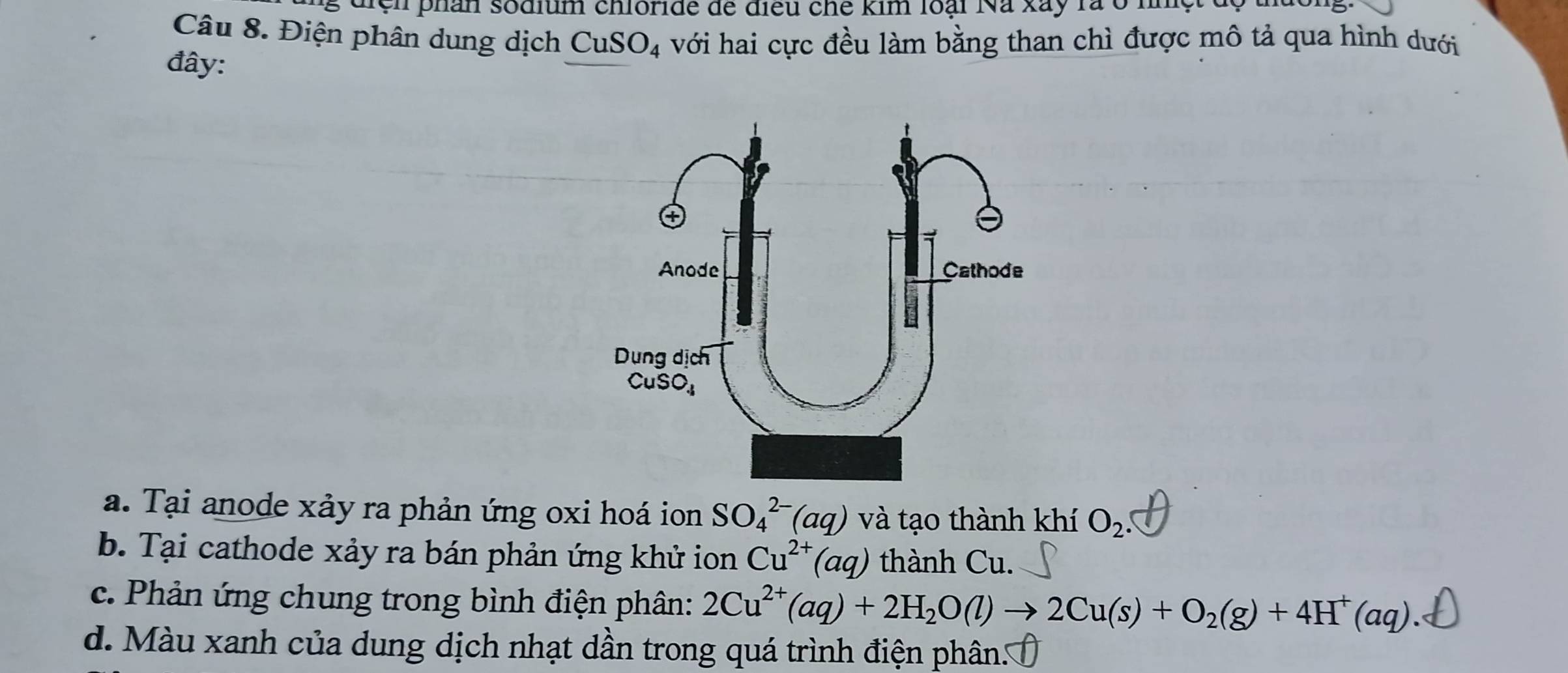 ệ n  phân sodium chloride dể điều che kim loại Na xay rà ở1
Câu 8. Điện phân dung dịch CuSO_4 với hai cực đều làm bằng than chì được mô tả qua hình dưới
đây:
a. Tại anode xảy ra phản ứng oxi hoá ion SO_4^((2-)(aq) và tạo thành khí O_2).
b. Tại cathode xảy ra bán phản ứng khử ion Cu^(2+)(aq) thành Cu.
c. Phản ứng chung trong bình điện phân: 2Cu^(2+)(aq)+2H_2O(l)to 2Cu(s)+O_2(g)+4H^+(aq).
d. Màu xanh của dung dịch nhạt dần trong quá trình điện phân..