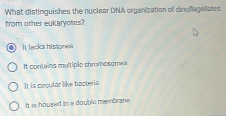 What distinguishes the nuclear DNA organization of dinoflagellates
from other eukaryotes?
It lacks histones
It contains multiple chromosomes
It is circular like bacteria
It is housed in a double membrane