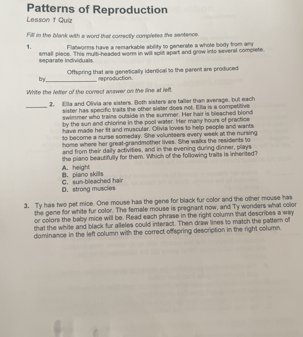 Solved: Patterns of Reproduction Lesson 1 Quiz Fill in the blank with a ...