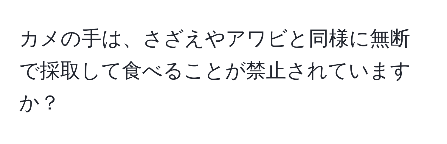 カメの手は、さざえやアワビと同様に無断で採取して食べることが禁止されていますか？