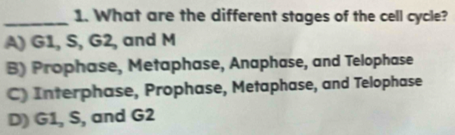 What are the different stages of the cell cycle?
A) G1, S, G2, and M
B) Prophase, Metaphase, Anaphase, and Telophase
C) Interphase, Prophase, Metaphase, and Telophase
D) G1, S, and G2