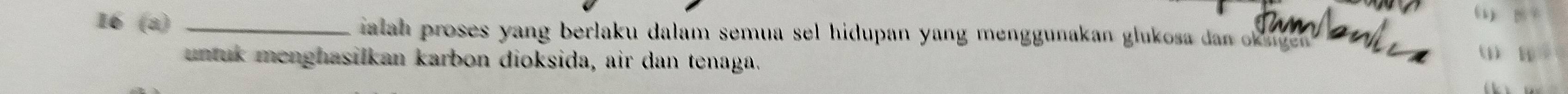 “) 
smnl 
16 (a) _ ialah proses yang berlaku dalam semua sel hidupan yang menggunakan glukosa dan ok age 
untuk menghasilkan karbon dioksida, air dan tenaga. (1)