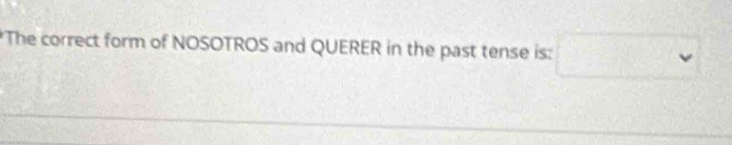 The correct form of NOSOTROS and QUERER in the past tense is: □