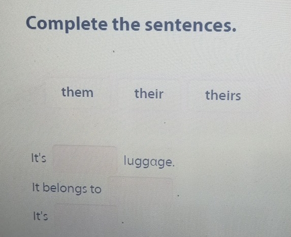 Complete the sentences. 
them their theirs 
It's luggage. 
It belongs to 
It's