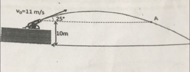 v_0=11m/s
25°
A
10m