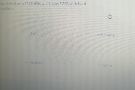 An animal with FEATHERS which lays EGGS with hard
shells is...
a bird a mammal
an amphibian a reptile