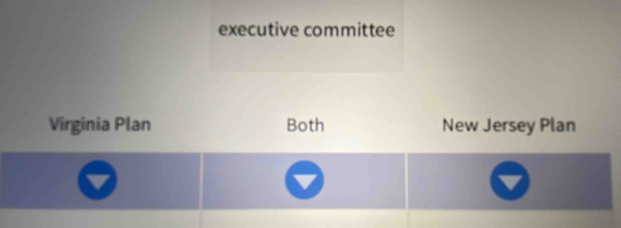 executive committee