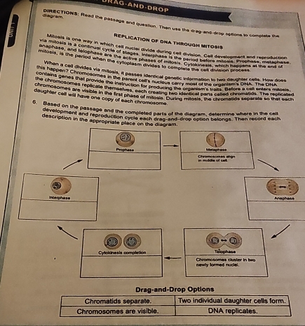 Drãg-and-drop 
diagram DIRECTIONS: Read the passage and question. Then use the drag-and-drop options to complete the 
REPLICATION OF DNA THROUGH MITOSIS 
Milosis is one way in which cell nuclai divide during cell division. Cell development and reproduction 
vn mitigale ia a semenate cyele of stagen, tide shoint cet divsion. Soll develnament adcag 
a anaphase and ielophaal Cyrl the wative phanal or is the period before mitge s, Broph ar gar tg s 
mitosts, is the period when the cyloplasm divdes to compisit the cat division prscess 
When a cell divides via mitosis, it passes identical genetic information to two daughter celle. How does 
contaver an? Chromosomes in the parent cufs wsat Benetic informationto hao tad BRA Ths BNA 
the chramenes that provide the instruction for prodticin ary mest of th9, 313" geors a ca enters iitosis. 
chrompagesomes replicate themsefvea on for producing the orgerngle ttmed chromaties. The replicateg 
daughter ones are visioin in the frat phate of maenling he is rnto n the aeomales teparts of tha each 
daughter cell will have one copy of each chromosome. 
6. Based on the passage and the completed parts of the diegram, determine where in the cell 
dexeropment and reproduction cycld each drag- and-drop option belongs. Than record each 
description in the appropriate place on the diagram. 
Prophase Malaphare 
Chromesomes align in midole of celt 
iterphese Anaphase 
Cylokinesis complation Chromosomes cluster in two Telophase 
newly formed nuctel. 
Drag-and-Drop Options 
Chromatids separate. Two individual daughter cells form. 
Chromosomes are visible. DNA replicates.