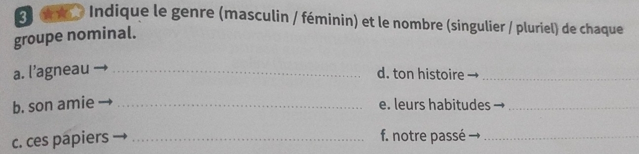 dn Indique le genre (masculin / féminin) et le nombre (singulier / pluriel) de chaque 
groupe nominal. 
a. l’agneau _d. ton histoire_ 
b. son amie _e. leurs habitudes_ 
c. ces papiers_ 
f. notre passé_