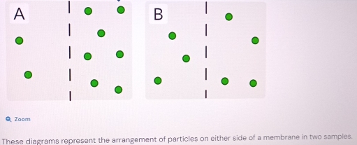 Zoom 
These diagrams represent the arrangement of particles on either side of a membrane in two samples.