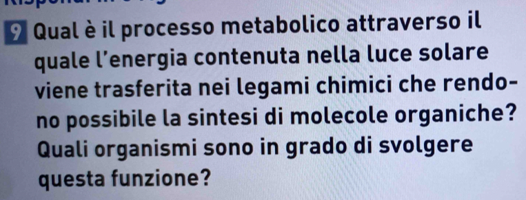 Qual è il processo metabolico attraverso il 
quale l’energia contenuta nella luce solare 
viene trasferita nei legami chimici che rendo- 
no possibile la sintesi di molecole organiche? 
Quali organismi sono in grado di svolgere 
questa funzione?