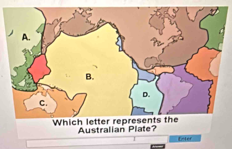 Australian Plate? 
Enter