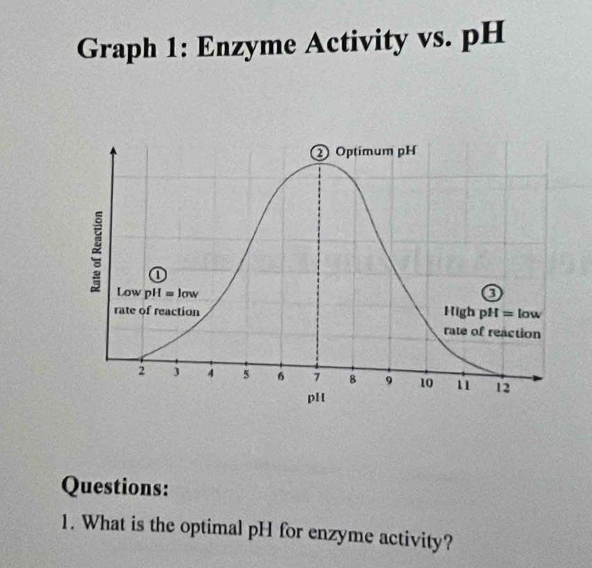 Graph 1: Enzyme Activity vs. pH
Questions:
1. What is the optimal pH for enzyme activity?