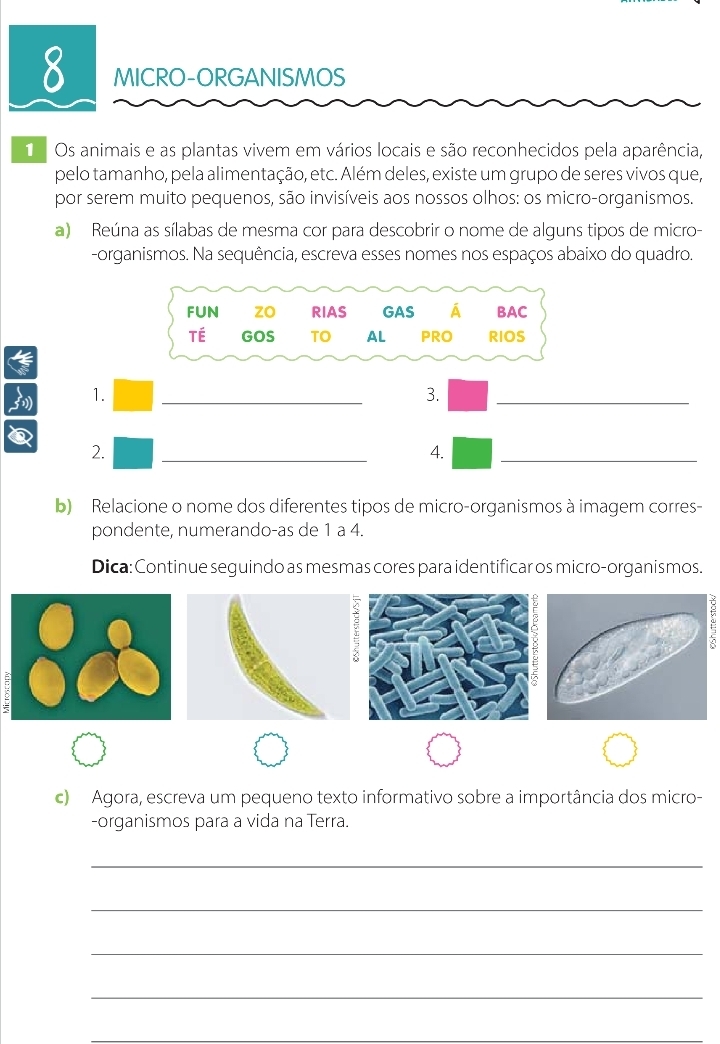 MICRO-ORGANISMOS 
1 Os animais e as plantas vivem em vários locais e são reconhecidos pela aparência, 
pelo tamanho, pela alimentação, etc. Além deles, existe um grupo de seres vivos que, 
por serem muito pequenos, são invisíveis aos nossos olhos: os micro-organismos. 
a) Reúna as sílabas de mesma cor para descobrir o nome de alguns tipos de micro- 
-organismos. Na sequência, escreva esses nomes nos espaços abaixo do quadro. 
1. 
3. 
__ 
2. 
A. 
__ 
b) Relacione o nome dos diferentes tipos de micro-organismos à imagem corres- 
pondente, numerando-as de 1 a 4. 
Dica: Continue seguindo as mesmas cores para identificar os micro-organismos. 
c) Agora, escreva um pequeno texto informativo sobre a importância dos micro- 
-organismos para a vida na Terra. 
_ 
_ 
_ 
_ 
_