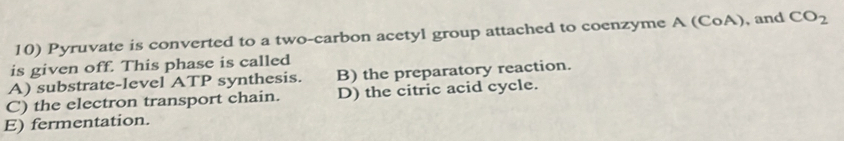 Pyruvate is converted to a two-carbon acetyl group attached to coenzyme A (CoA), and CO_2
is given off. This phase is called
A) substrate-level ATP synthesis. B) the preparatory reaction.
C) the electron transport chain. D) the citric acid cycle.
E) fermentation.