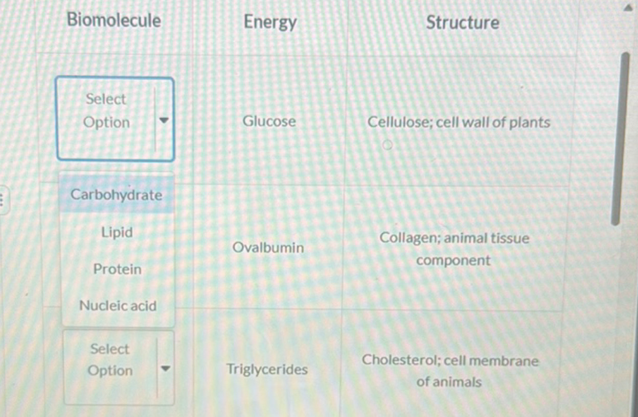 Biomolecule