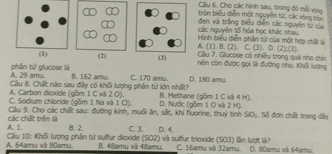 Cho các hình sau, trong đó mỗi vòng
tròn biểu diễn một nguyên tứ, các vòng tròn
đen và trắng biểu diễn các nguyên tử của
các nguyên tố hóa học khác nhau,
Hình biểu diễn phân tử của một hợp chất là
A. (1). B. (2). C. (3). D. (2);(3).
Câu 7. Glucose có nhiều trong quả nho chín
nên còn được gọi là đường nho. Khối lượng
phân tử glucose là
A. 29 amu. B. 162 amu. C. 170 amu. D. 180 amu.
Câu 8. Chất nào sau đây có khối lượng phân tử lớn nhất?
A. Carbon dioxide (gồm 1 C và 2 O). B. Methane (gồm 1 C và 4 H).
C. Sodium chloride (gồm 1 Na và 1 Cl). D. Nước (gồm 1 0 và 2 H).
Câu 9. Cho các chất sau: đường kính, muối ăn, sắt, khí fluorine, thuỷ tinh SiO_2 , Số đơn chất trong dãy
các chất trên là
A. 1. B. 2. C. 3. D. 4.
Câu 10: Khối lượng phân tử sulfur dioxide (SO2) và sulfur trioxide (SO3) lần lượt là?
A. 64amu và 80amu. B. 48amu và 48amu. C. 16amu và 32amu. D. 80amu và 64amu.