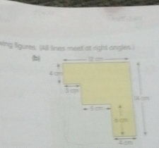 ving figures. (All lines meet at right angles, ) 
(b)