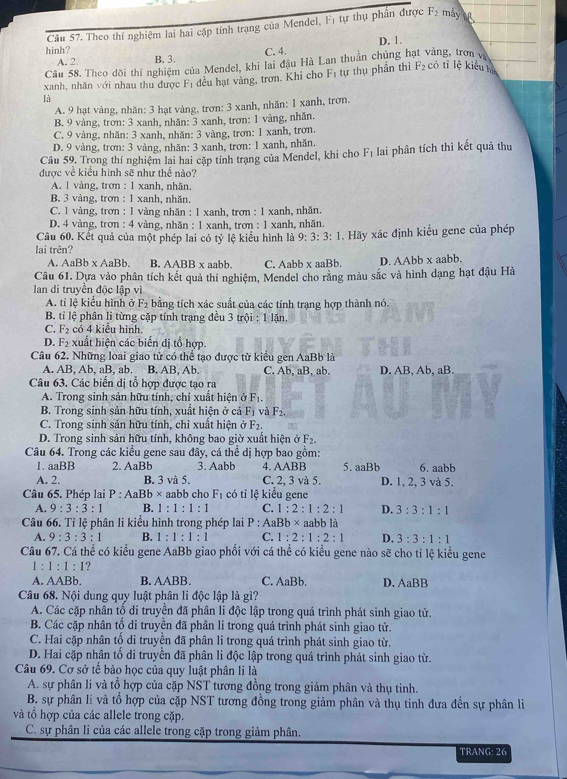 Cầu 57. Theo thí nghiệm lai hai cặp tính trạng của Mendel, Fị tự thụ phần được F_2 máy 
hình? C. 4. D. 1.
A. 2. B. 3.
Câu 58. Theo dõi thí nghiệm của Mendel, khi lai đậu Hà Lan thuần chủng hạt vàng, trơn và
xanh, nhăn với nhau thu được F_1 đều hạt vàng, trơn. Khi cho F_1 tự thụ phần thì F_2 có tỉ lệ kiểu hì
là
A. 9 hạt vàng, nhăn: 3 hạt vàng, trơn: 3 xanh, nhăn: 1 xanh, trơn.
B. 9 vàng, trơn: 3 xanh, nhăn: 3 xanh, trơn: 1 vàng, nhăn.
C. 9 vàng, nhăn: 3 xanh, nhăn: 3 vàng, trơn: 1 xanh, trơn.
D. 9 vàng, trơn: 3 vàng, nhăn: 3 xanh, trơn: 1 xanh, nhăn.
Câu 59. Trong thí nghiệm lai hai cặp tính trang của Mendel, khi cho F_1 lai phân tích thì kết quả thu
được về kiểu hình sẽ như thế nào?
A. 1 vàng, trơn : 1 xanh, nhăn.
B. 3 vàng, trơn : 1 xanh, nhăn.
C. 1 vàng, trơn : 1 vàng nhăn : 1 xanh, trơn : 1 xanh, nhăn.
D. 4 vàng, trơn : 4 vàng, nhăn : 1 xanh, trơn : 1 xanh, nhăn.
Câu 60. Kết quả của một phép lai có tỷ lệ kiểu hình là 9:3:3:1. Hãy xác định kiểu gene của phép
lai trên?
A. AaBb* AaE 3b. B. AABBx × aabb. C. Aabb x aaBb. D. AAbb x aabb.
Câu 61. Dựa vào phân tích kết quả thí nghiệm, Mendel cho răng màu sắc và hình dạng hạt đậu Hà
lan di truyền độc lập vì
A. tỉ lệ kiểu hình ở F₂ bằng tích xác suất của các tính trạng hợp thành nó.
B. tỉ lệ phân li từng cặp tính trạng đều 3trhat oi:1lhat an.
C. F_2 có 4 kiểu hình.
D. F2 xuất hiện các biến dị tổ hợp.
Câu 62. Những loai giao tử có thể tạo được từ kiểu gen AaBb là
A. AB, Ab, aB, ab. B. AB, Ab. C. Ab, aB, ab. D. AB, Ab, aB.
Câu 63. Các biến dị tổ hợp được tạo ra
A. Trong sinh sản hữu tính, chỉ xuất hiện ở Fị.
B. Trong sinh sản hữu tính, xuất hiện ở cả 1 F1 và F2
C. Trong sinh sản hữu tính, chỉ xuất hiện ở F_2.
D. Trong sinh sản hữu tính, không bao giờ xuất hiện ở F2.
Câu 64. Trong các kiểu gene sau đây, cá thể dị hợp bao gồm:
1. aaBB 2. AaBb 3. Aabb 4. AABB 5. aaBb 6. aabb
A. 2. B. 3 và 5. C. 2, 3 và 5. D. 1, 2, 3 và 5.
Câu 65. Phép lại I P:AaBb* aabb cho F_1 có tỉ lệ kiểu gene
A. 9:3:3:1 B. 1:1:1:1 C. 1:2:1:2:1 D. 3:3:1:1
Câu 66. Tỉ lệ phân li kiểu hình trong phép lai P:AaBb> * aabb là
A. 9:3:3:1 B. 1:1:1:1 C. 1:2:1:2:1 D. 3:3:1:1
Câu 67. Cá thể có kiểu gene AaBb giao phối với cá thể có kiểu gene nào sẽ cho tỉ lệ kiểu gene
1:1:1:1
A. AABb. B. AABB. C. AaBl 1. AaBB
D.
Câu 68. Nội dung quy luật phân li độc lập là gì?
A. Các cặp nhân tổ di truyền đã phân li độc lập trong quá trình phát sinh giao tử.
B. Các cặp nhân tố di truyền đã phân li trong quá trình phát sinh giao tử.
C. Hai cặp nhân tố di truyền đã phân li trong quá trình phát sinh giao từ.
D. Hai cặp nhân tố di truyền đã phân li độc lập trong quá trình phát sinh giao từ.
Câu 69. Cơ sở tế bào học của quy luật phân li là
A. sự phân li và tổ hợp của cặp NST tương đồng trong giảm phân và thụ tinh.
B. sự phân li và tổ hợp của cặp NST tương đồng trong giảm phân và thụ tinh đưa đến sự phân li
và tổ hợp của các allele trong cặp.
C. sự phân li của các allele trong cặp trong giảm phân.
TRANG: 26
