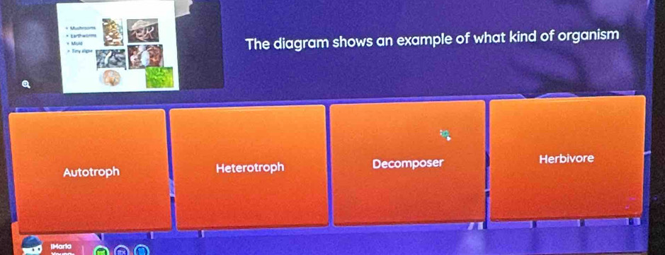 Timy algs The diagram shows an example of what kind of organism
Autotroph Heterotroph Decomposer Herbivore