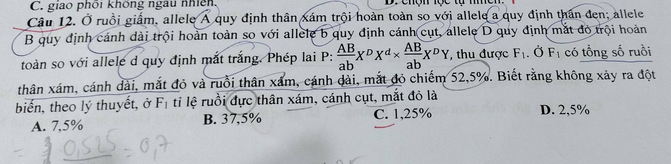 giao phối không ngàu nhiên. D. Chôn lộc tự mc
Câu 12. Ở ruồi giấm, allele A quy định thân xám trội hoàn toàn so với allele a quy định thân đen; allele
B quy định cánh dài trội hoàn toàn so với allele b quy định cánh cụt, allele D quy định mắt đỏ trội hoàn
toàn so với allele d quy định mắt trắng. Phép lai P P: AB/ab X^DX^d*  AB/ab X^DY , thu được F_1. Ở F_1 có tổng số ruồi
thân xám, cánh dài, mắt đỏ và ruồi thân xám, cánh dài, mắt đỏ chiếm 52, 5%. Biết rằng không xảy ra đột
biến, theo lý thuyết, ở F_1 ti lệ ruồi đực thân xám, cánh cụt, mắt đỏ là
C. 1,25%
D. 2,5%
A. 7,5%
B. 37,5%