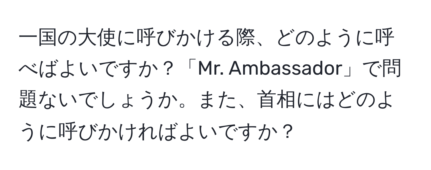 一国の大使に呼びかける際、どのように呼べばよいですか？「Mr. Ambassador」で問題ないでしょうか。また、首相にはどのように呼びかければよいですか？