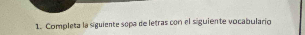 Completa la siguiente sopa de letras con el siguiente vocabulario