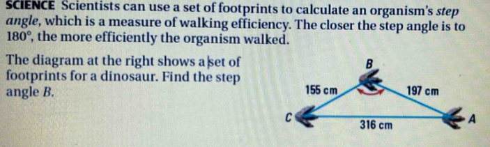 SCIENCE Scientists can use a set of footprints to calculate an organism’s step 
angle, which is a measure of walking efficiency. The closer the step angle is to
180° , the more efficiently the organism walked. 
The diagram at the right shows a§set of 
footprints for a dinosaur. Find the step 
angle B.