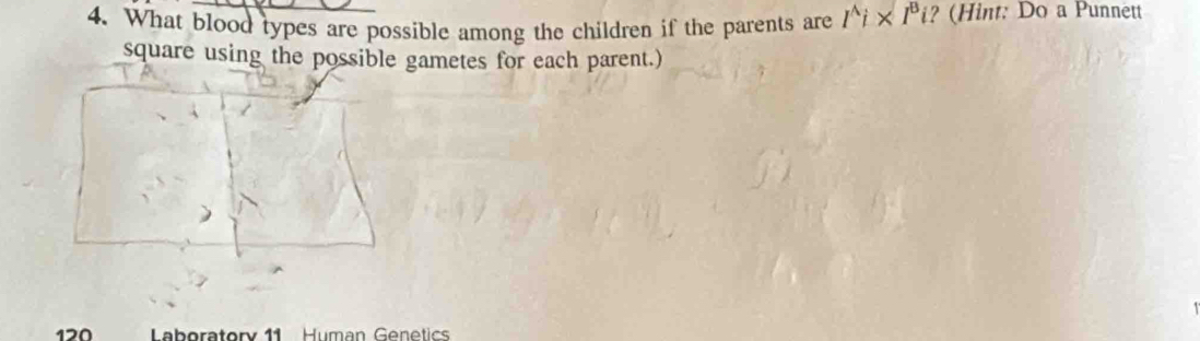 What blood types are possible among the children if the parents are I^(wedge)i* I^Bi (int: Do a Punnett 
square using the possible gametes for each parent.) 
Laboratory 11 Human Genetic