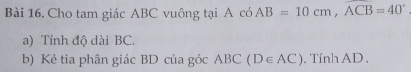 Cho tam giác ABC vuông tại A có AB=10cm, widehat ACB=40°
a) Tính độ dài BC, 
b) Kẻ tia phân giác BD của góc ABC(D∈ AC). Tính AD.