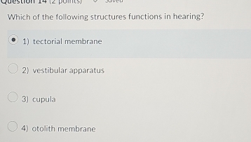 Which of the following structures functions in hearing?
1) tectorial membrane
2) vestibular apparatus
3) cupula
4) otolith membrane