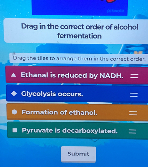 Drag in the correct order of alcohol 
fermentation 
Drag the tiles to arrange them in the correct order. 
Ethanal is reduced by NADH. = 
Glycolysis occurs. = 
Formation of ethanol. = 
Pyruvate is decarboxylated. = 
Submit