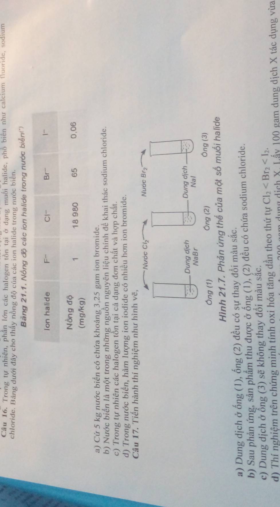 Trong tự nhiên, phần lớn các halogen tồn tại ở dạng muối halide, phố biến như calcium fluoride, sodium
chloride. Bảng dưới đây cho thấy nồng độ của các ion halide trong nước biển.
Bảng 21.1. Nồng độ các ion halide trong nước biển(')
a) Cứ 5 kg nước biển có chứa khoảng 3,25 gam ion bromide.
b) Nước biển là một trong những nguồn nguyên liệu chính để khai thác sodium chloride.
c) Trong tự nhiên các halogen tồn tại cả dạng đơn chất và hợp chất.
d) Trong nước biển, hàm lượng ion iodide có nhiều hơn ion bromide.
Câu 17. Tiến hành thí nghiệm
Hình 21.7. Phản ứng thể của một số muối halide
2x
a) Dung dịch ở ống (1), ống (2) đều có sự thay đổi màu săc.
b) Sau phản ứng, sản phẩm thu được ở ống (1), (2) đều có chứa sodium chloride.
c) Dung dịch ở ổng (3) sẽ không thay đổi màu sắc.
d) Thí nghiệm trên chứng minh tính oxi hóa tăng dần theo thứ tự Cl_2
dụng dịch X. Lấy 100 gam dung dịch X tác dụng vừa