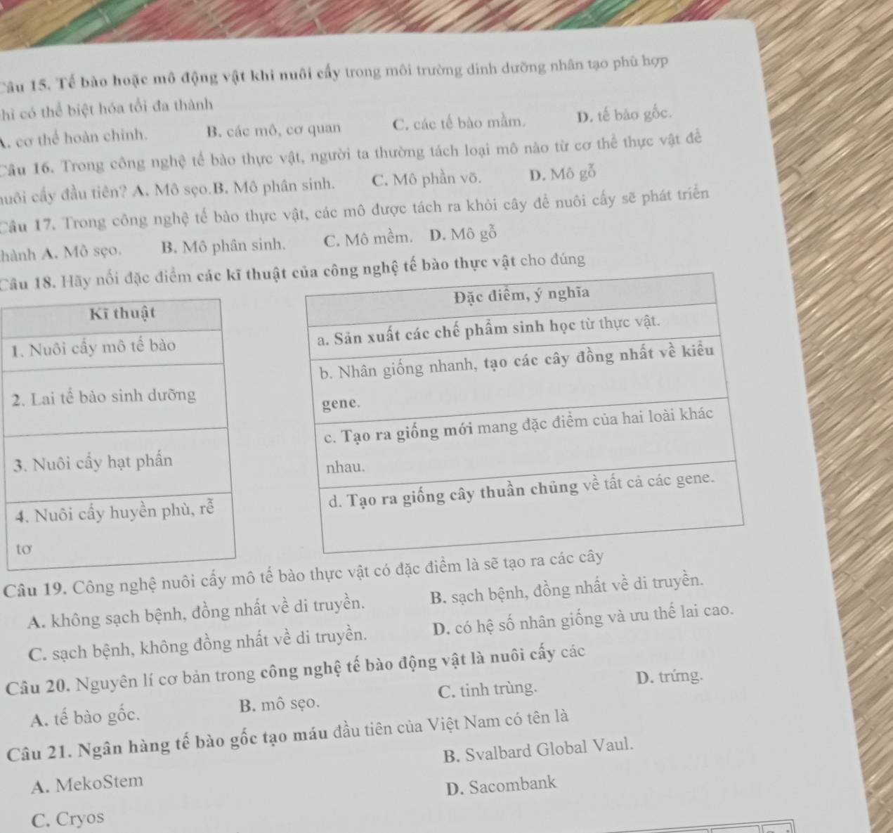 Tế bào hoặc mô động vật khi nuôi cấy trong môi trường dinh dưỡng nhân tạo phù hợp
hi có thể biệt hóa tối đa thành
, cơ thể hoàn chính. B. các mô, cơ quan C. các tế bào mầm. D. tế bào gốc.
Câu 16. Trong công nghệ tế bào thực vật, người ta thường tách loại mô nào từ cơ thể thực vật để
cuôi cầy đầu tiên? A. Mô sẹo.B. Mô phân sinh. C. Mô phần võ. D. Mô gỗ
Cầu 17. Trong công nghệ tế bào thực vật, các mô được tách ra khỏi cây để nuôi cấy sẽ phát triển
hành A. Mô sẹo. B. Mô phân sinh. C. Mô mềm. D. Mô gỗ
Câu 18. Hãy nổi đặc điểm các kĩ thu thực vật cho đúng
1
2
Câu 19. Công nghệ nuôi cấ bào thực vật có đặc điểm là sẽ tạo
A. không sạch bệnh, đồng nhất về di truyền. B. sạch bệnh, đồng nhất về di truyền.
C. sạch bệnh, không đồng nhất về di truyền. D. có hệ số nhân giống và ưu thế lai cao.
Câu 20. Nguyên lí cơ bản trong công nghệ tế bào động vật là nuôi cấy các
D. trứng.
A. tế bào gốc. B. mô sẹo. C. tinh trùng.
Câu 21. Ngân hàng tế bào gốc tạo máu đầu tiên của Việt Nam có tên là
A. MekoStem B. Svalbard Global Vaul.
D. Sacombank
C. Cryos