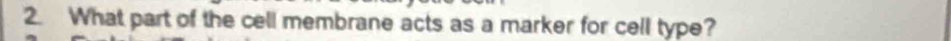 What part of the cell membrane acts as a marker for cell type?