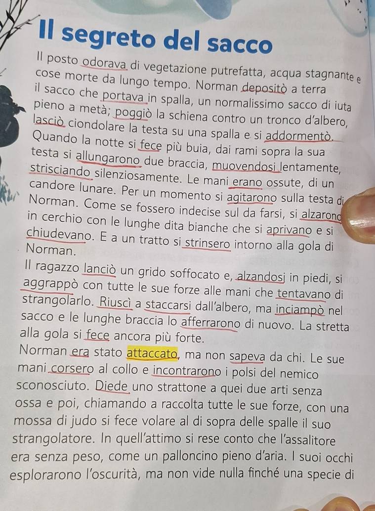 Il segreto del sacco
Il posto odorava di vegetazione putrefatta, acqua stagnante e
cose morte da lungo tempo. Norman depositò a terra
il sacco che portava in spalla, un normalissimo sacco di iuta
pieno a metà; poggiò la schiena contro un tronco d'albero,
lasciò ciondolare la testa su una spalla e si addormentò.
Quando la notte si fece più buia, dai rami sopra la sua
testa si allungarono due braccia, muovendosi lentamente,
strisciando silenziosamente. Le mani erano ossute, di un
candore lunare. Per un momento si agitarono sulla testa di
Norman. Come se fossero indecise sul da farsi, si alzarond
in cerchio con le lunghe dita bianche che si aprivano e si
chiudevano. E a un tratto si strinsero intorno alla gola di
Norman.
Il ragazzo lanciò un grido soffocato e, alzandosj in piedi, si
aggrappò con tutte le sue forze alle mani che tentavano di
strangolarlo. Riuscì a staccarsi dall'albero, ma inciampò nel
sacco e le lunghe braccia lo afferrarono di nuovo. La stretta
alla gola si fece ancora più forte.
Norman era stato attaccato, ma non sapeva da chi. Le sue
mani corsero al collo e incontrarono i polsi del nemico 
sconosciuto. Diede uno strattone a quei due arti senza
ossa e poi, chiamando a raccolta tutte le sue forze, con una
mossa di judo si fece volare al di sopra delle spalle il suo
strangolatore. In quell’attimo si rese conto che l’assalitore
era senza peso, come un palloncino pieno d’aria. I suoi occhi
esplorarono l'oscurità, ma non vide nulla finché una specie di