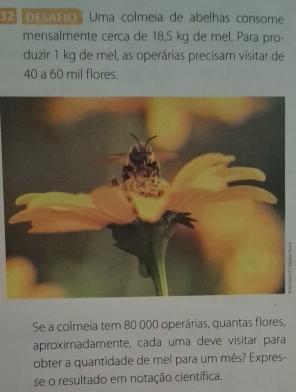 DESAFo Uma colmeía de abelhas consome 
mensalmente cerca de 18,5 kg de mel. Para pro- 
duzir 1 kg de mel, as operárias precisam visitar de
40 a 60 mil flores. 
Se a colmeia tem 80 000 operárias, quantas flores, 
aproximadamente, cada uma deve visitar para 
obter a quantidade de mel para um mês? Expres- 
se o resultado em notação científica.