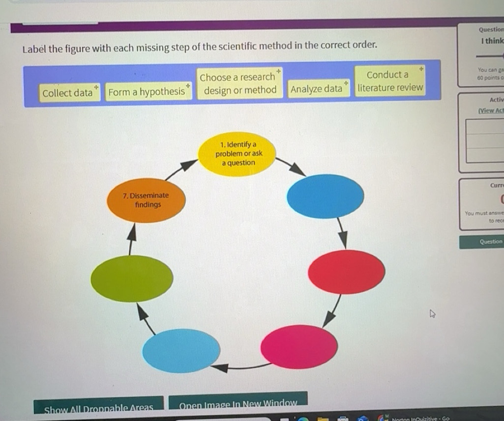 Solved: Question Label the figure with each missing step of the ...