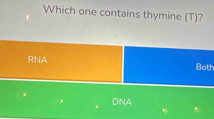 Which one contains thymine (T)?
RNA Both
DNA