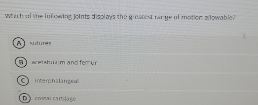 Which of the following joints displays the greatest range of motion allowable?
A) sutures
B acetabulum and femur
C interphalangeal
D costal cartilage