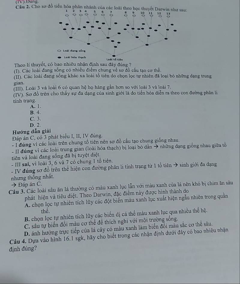 (IV).Đùng.
Câu 2. Cho sơ đồ tiển hóa phân nhánh của c
Theo lí thuyết, có bao nhiêu nhận định sau đây đúng ?
(T). Các loài đang sống có nhiều điểm chung về sơ đồ cấu tạo cơ thể.
(II). Các loài đang sống khác xa loài tổ tiên do chọn lọc tự nhiên đã loại bỏ những dạng trung
gian.
(III). Loài 3 và loài 6 có quan hệ họ hàng gần hơn so với loài 3 và loài 7.
(IV). Sơ đồ trên cho thấy sự đa dạng của sinh giới là do tiến hóa diễn ra theo con đường phân li
tính trạng.
A. 1.
B. 4.
C. 3.
D. 2.
Hướng dẫn giải
Đáp án C, có 3 phát biểu I, II, IV đúng.
- I đúng vì các loài trên chung tổ tiên nên sơ đồ cấu tạo chung giống nhau.
- II đúng vì các loài trung gian (loài hóa thạch) bị loại bỏ dần → những dạng giống nhau giữa tổ
tiên và loài đang sống đã bị tuyệt diệt.
- III sai, vì loài 3, 6 và 7 có chung 1 tổ tiên.
- IV đúng sơ đồ trên thể hiện con đường phân li tính trạng từ 1 tổ tiên → sinh giới đa dạng
nhưng thống nhất.
→ Đáp án C.
Câu 3. Các loài sâu ăn lá thường có màu xanh lục lẫn với màu xanh của lá nên khó bị chim ăn sâu
phát hiện và tiêu diệt. Theo Darwin, đặc điểm này được hình thành do
A. chọn lọc tự nhiên tích lũy các đột biển màu xanh lục xuất hiện ngẫu nhiên trong quần
thể.
B. chọn lọc tự nhiên tích lũy các biến dị cá thể màu xanh lục qua nhiều thể hệ.
C. sâu tự biến đổi màu cơ thể để thích nghi với môi trường sống.
D. ảnh hưởng trực tiếp của lá cây có màu xanh làm biển đổi màu sắc cơ thể sâu,
Câu 4. Dựa vào hình 16.1 sgk, hãy cho biết trong các nhận định dưới đây có bao nhiêu nhận
định đúng?