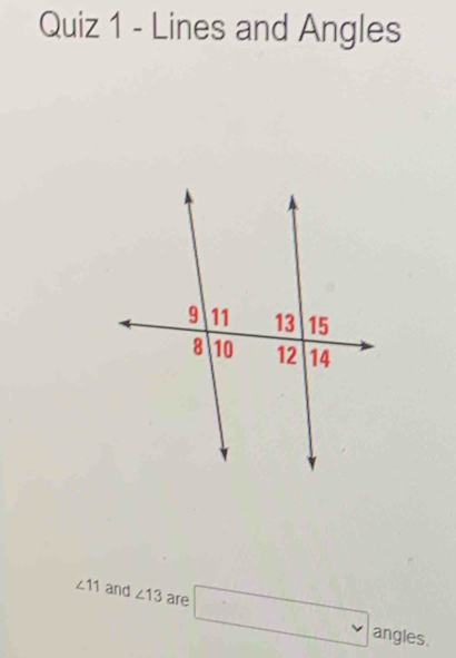 Lines and Angles
∠ 11 and ∠ 13 are □
angles.