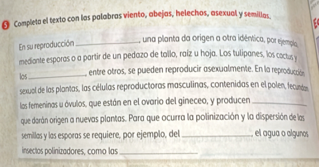 § Completa el texto con las palabras viento, abejas, helechos, asexual y semillas 
En su reproducción_ 
, una planta da origen a otra idéntica, por ejemplo. 
mediante esporas o a partir de un pedazo de tallo, raíz u hoja. Los tulipanes, los cactus y 
los _L, entre otros, se pueden reproducir asexualmente. En la reproducción 
sexual de las plantas, las células reproductoras masculinas, contenidas en el polen, fecundan 
las femeninas u óvulos, que están en el ovario del gineceo, y producen_ 
que darán origen a nuevas plantas. Para que ocurra la polinización y la dispersión de las 
semillas y las esporas se requiere, por ejemplo, del_ , el agua o algunos 
insectos polinizadores, como las_