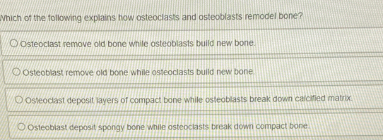 Which of the following explains how osteoclasts and osteoblasts remodel bone?
Osteoclast remove old bone while osteoblasts build new bone.
Osteoblast remove old bone while osteoclasts build new bone.
Osteoclast deposit layers of compact bone while osteoblasts break down calcified matrix.
Osteoblast deposit spongy bone while osteoclasts break down compact bone.