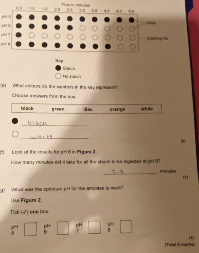 Time in 
pH 5
pH 6
pH 7
pH 8
(e) What colours do the symbols in the key represent?
Choose answers from the box.
black green lilac orange white
_
_
(2)
(f) Look at the results for pH 6 in Figure 2.
How many minutes did it take for all the starch to be digested at pH 6?
_
minutes
(1)
g) What was the optimum pH for the amylase to work?
Use Figure 2.
Tick (√) one box.
pH pH pH pH
5 6 7 8
(1)
(Total 8 marks)