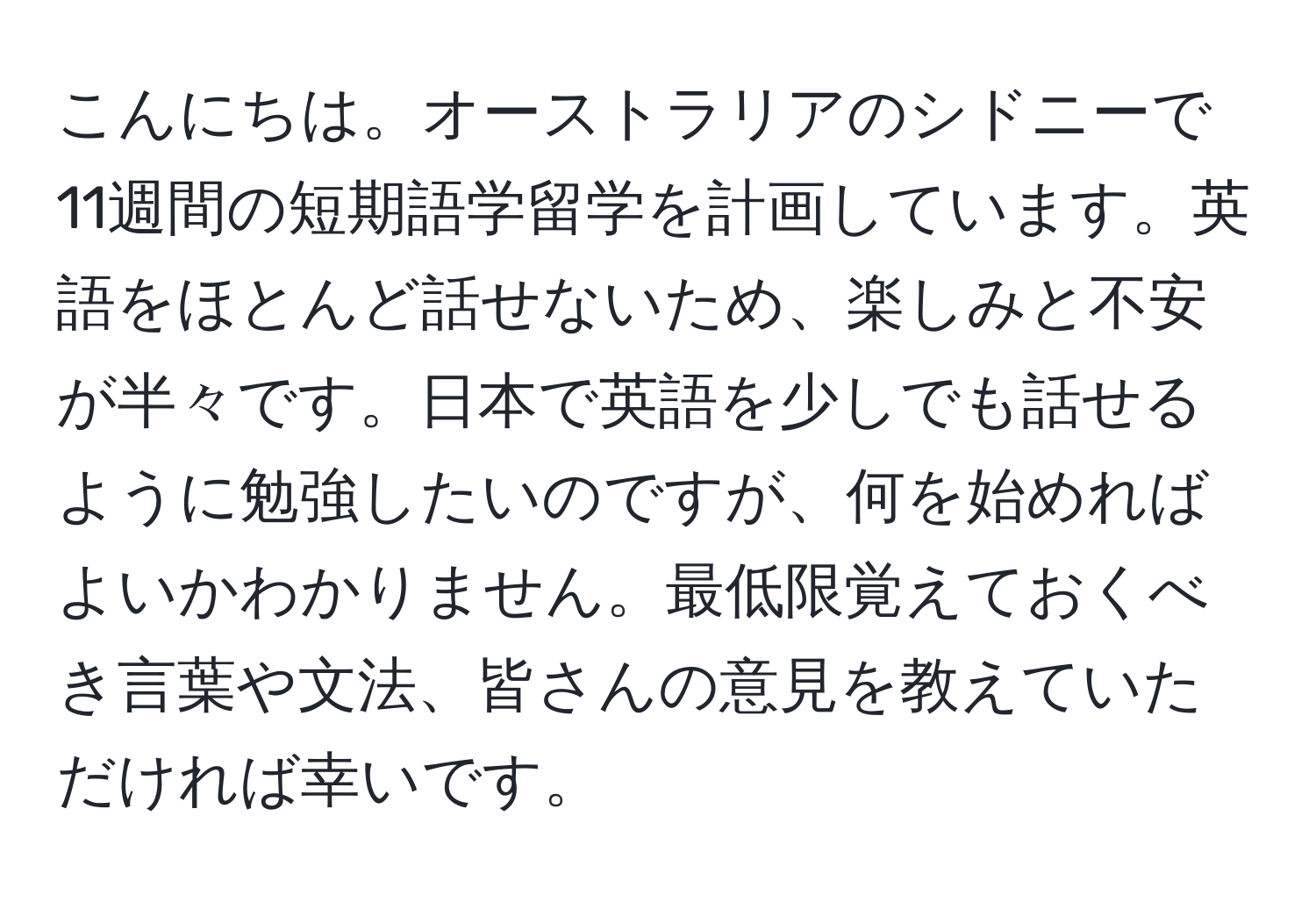 こんにちは。オーストラリアのシドニーで11週間の短期語学留学を計画しています。英語をほとんど話せないため、楽しみと不安が半々です。日本で英語を少しでも話せるように勉強したいのですが、何を始めればよいかわかりません。最低限覚えておくべき言葉や文法、皆さんの意見を教えていただければ幸いです。