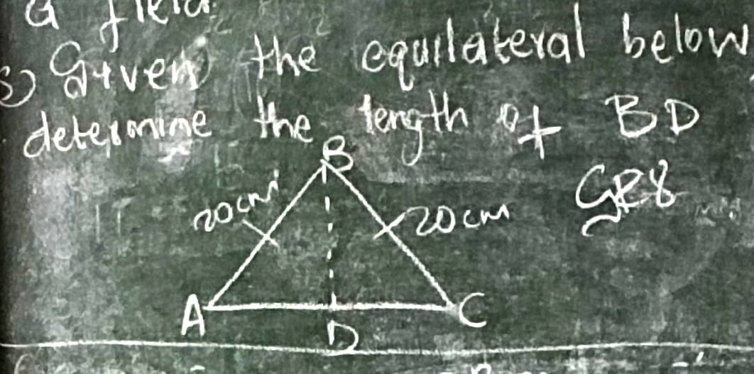 a fed 
s given the equilateral below 
Geo