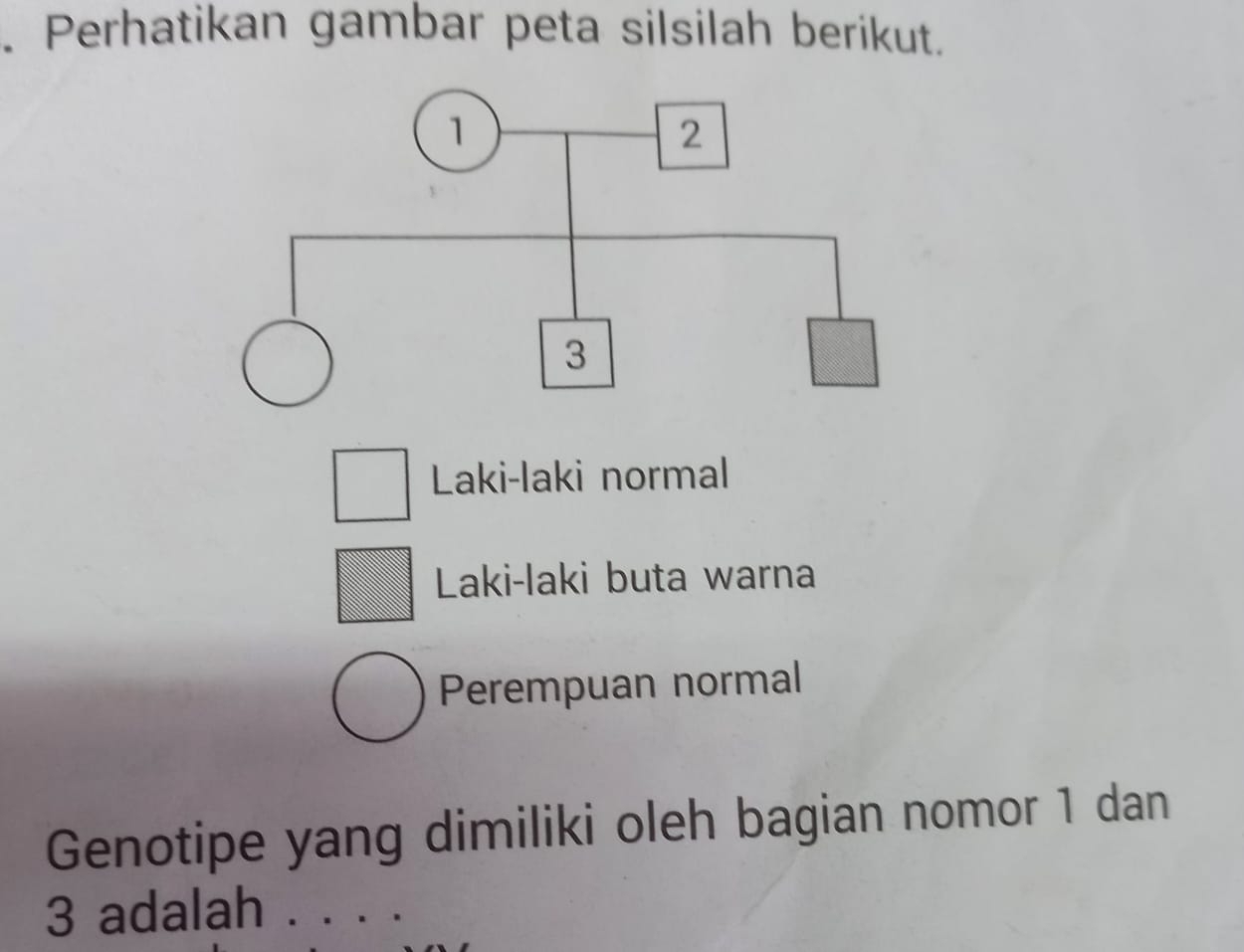 Perhatikan gambar peta silsilah berikut.
Laki-laki normal
Laki-laki buta warna
Perempuan normal
Genotipe yang dimiliki oleh bagian nomor 1 dan
3 adalah . . .